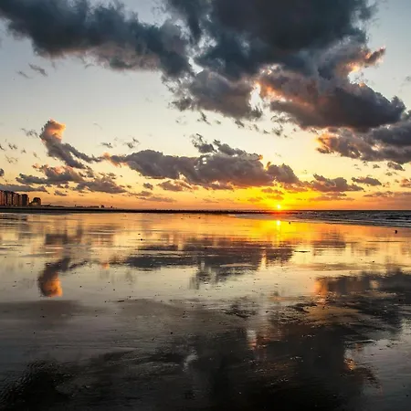 Апартаменты In Belgium With Stunning Sea View Миделкерк